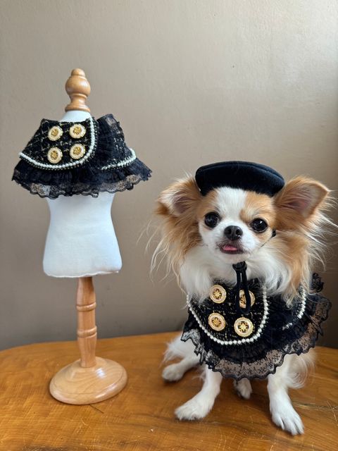 LINE_ALBUM_小香領巾_240627_14