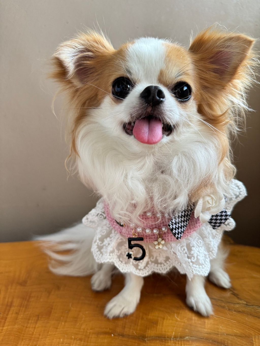 LINE_ALBUM_小香領巾_240627_35