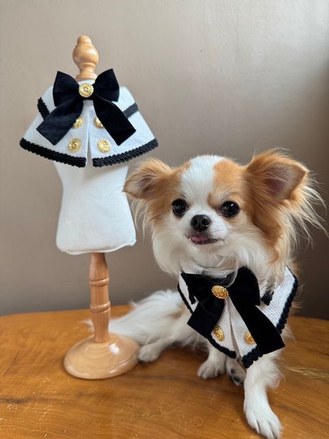 LINE_ALBUM_小香領巾_240627_37