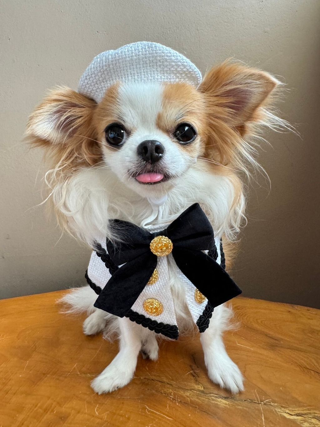 LINE_ALBUM_小香領巾_240627_20