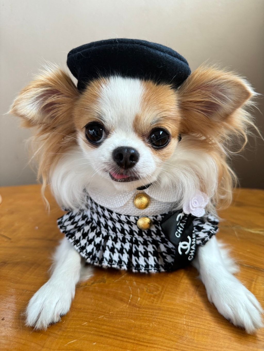 LINE_ALBUM_小香領巾_240627_19