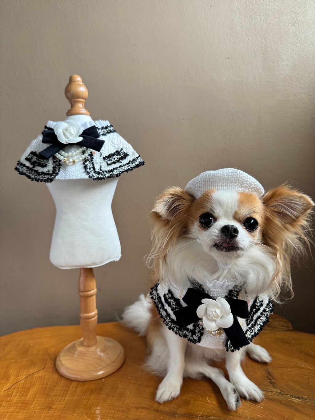 LINE_ALBUM_小香領巾_240627_26