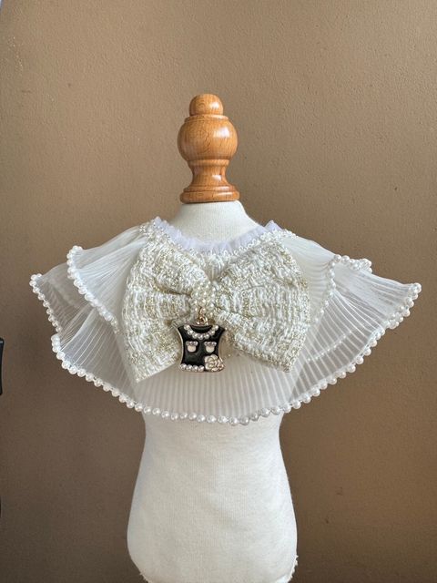 LINE_ALBUM_小香領巾_240627_8