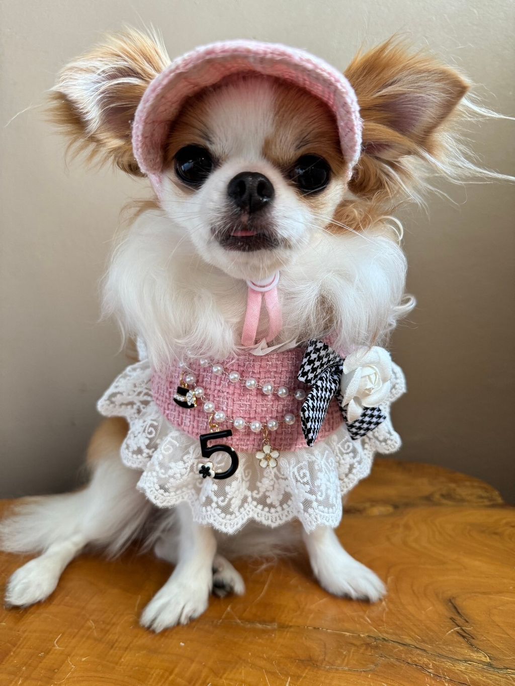 LINE_ALBUM_小香領巾_240627_31