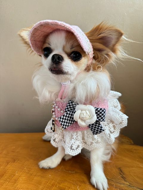 LINE_ALBUM_小香領巾_240627_30