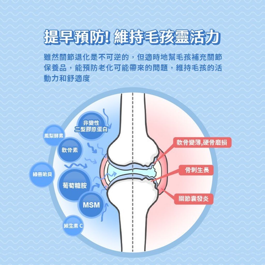 LINE_ALBUM_關節保健粉_240801_2