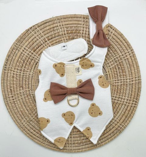 C0A00D3F-E587-4E3D-8DDA-E53AD486FD35