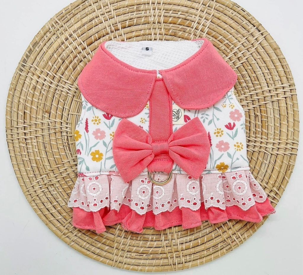 3218E454-2B84-4728-9FFA-43B9BD551D95