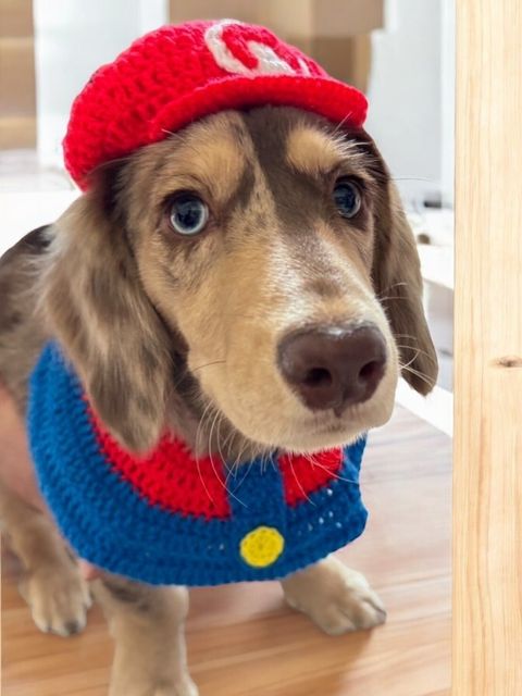 LINE_ALBUM_針織大_241008_1