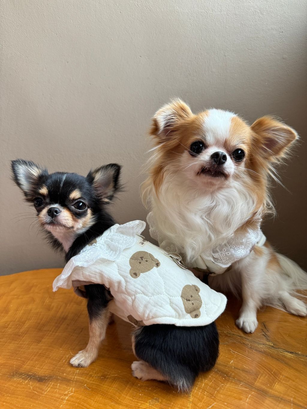 BDA353E2-F658-4F95-9669-92A840D12CB7