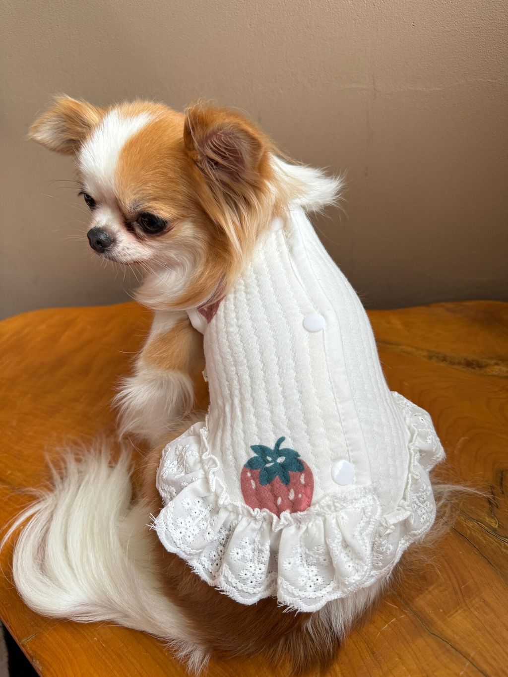 1A56228C-0874-4ED7-92F7-D85380051C26