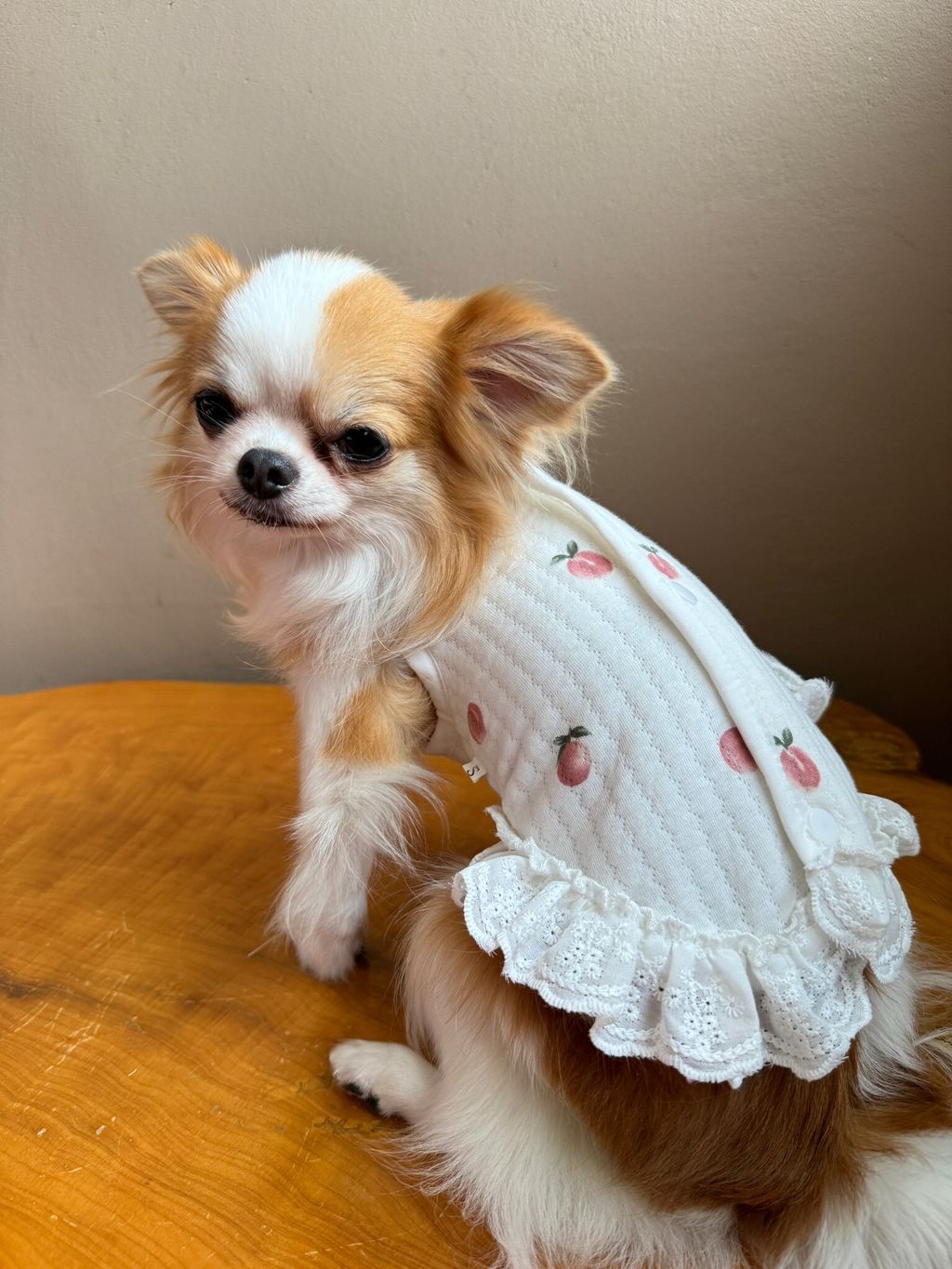 0FFEAD65-E51F-48CC-BC1F-F083A76CD936