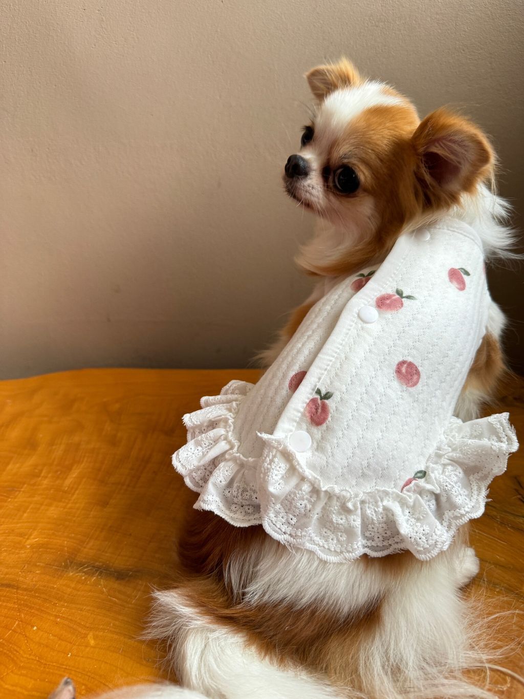 06AAA3EB-3D03-43F2-850A-01C5EEB36506