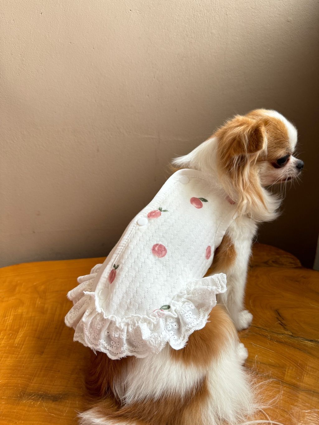 39E01C56-BA74-460C-8EF6-B81BA725232C