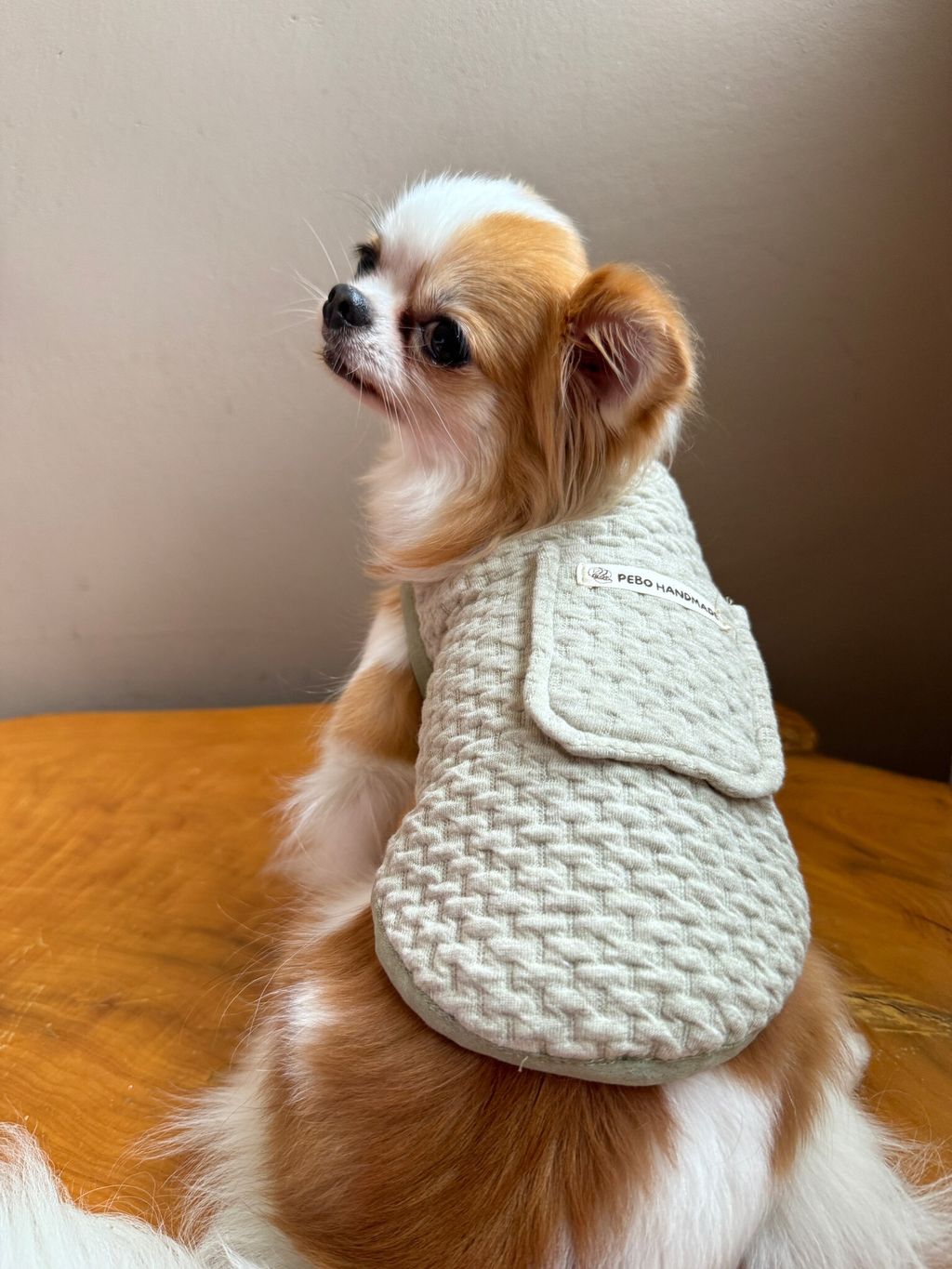 9E24431C-4EED-4E86-BDDD-FDA998C09719