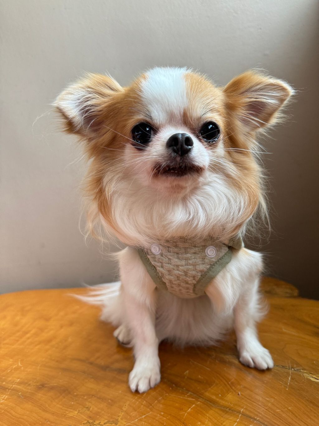 50BE8E6F-BB9C-44A6-8523-CFB8977AF3B6