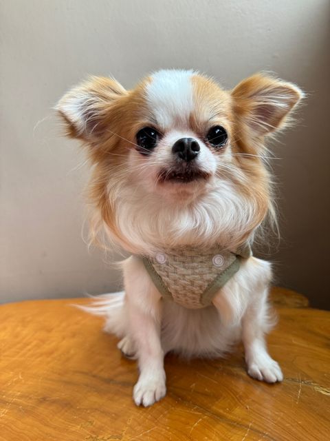 50BE8E6F-BB9C-44A6-8523-CFB8977AF3B6