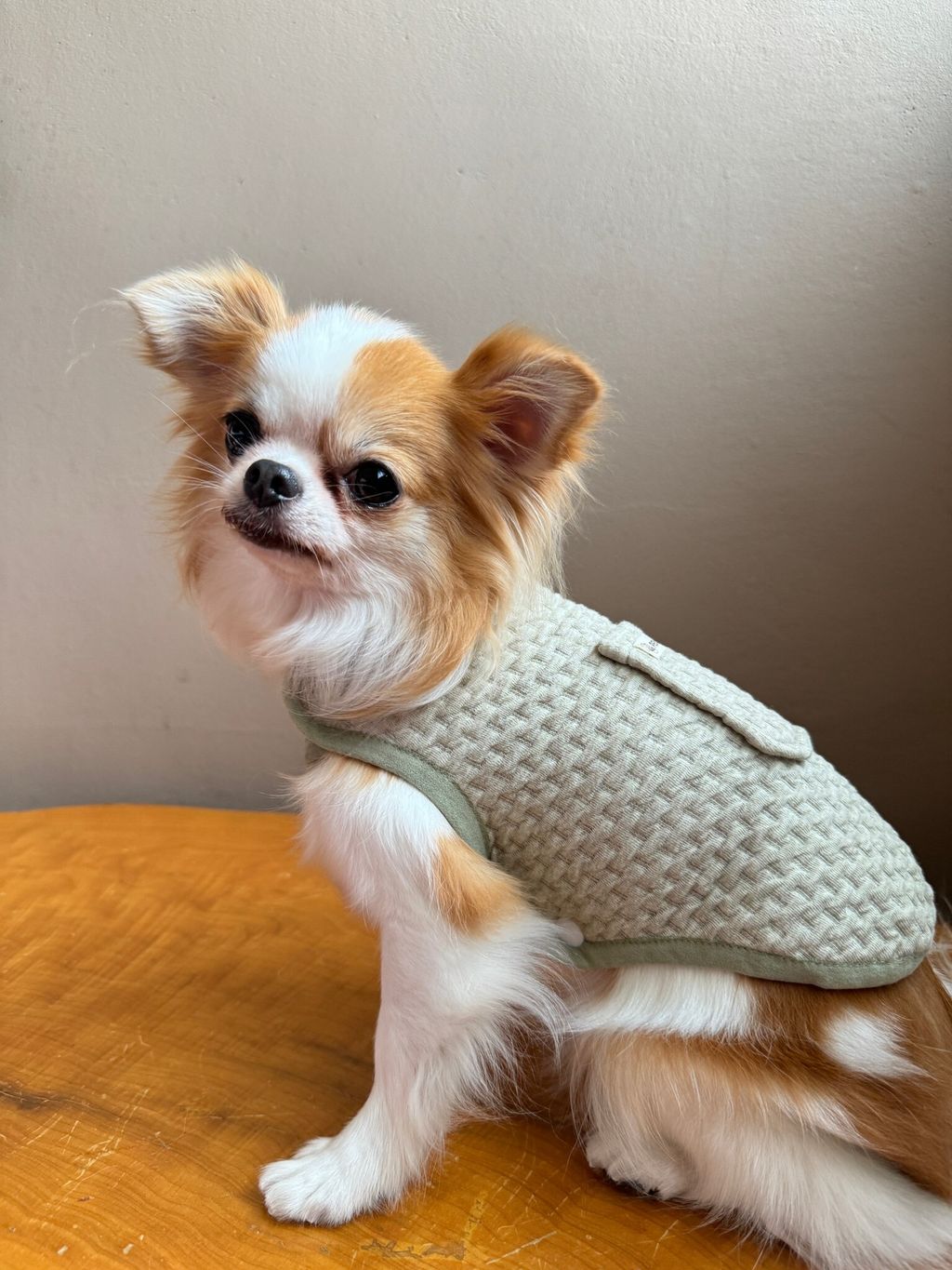 E03D5519-65D6-45A7-AA9C-D5362BDC174C