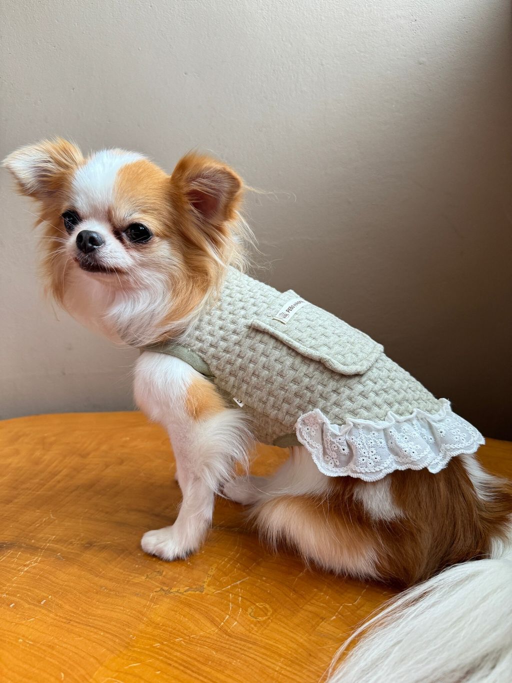 B0D6D469-4172-47AB-A5F1-411B8FAABAB0