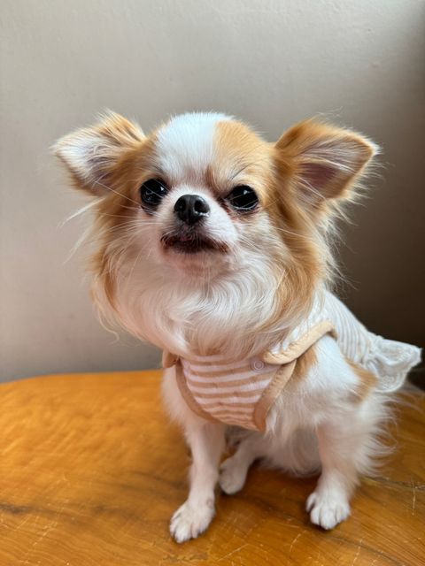 0B74D710-24F7-4E94-9FF5-A61CFA27694D