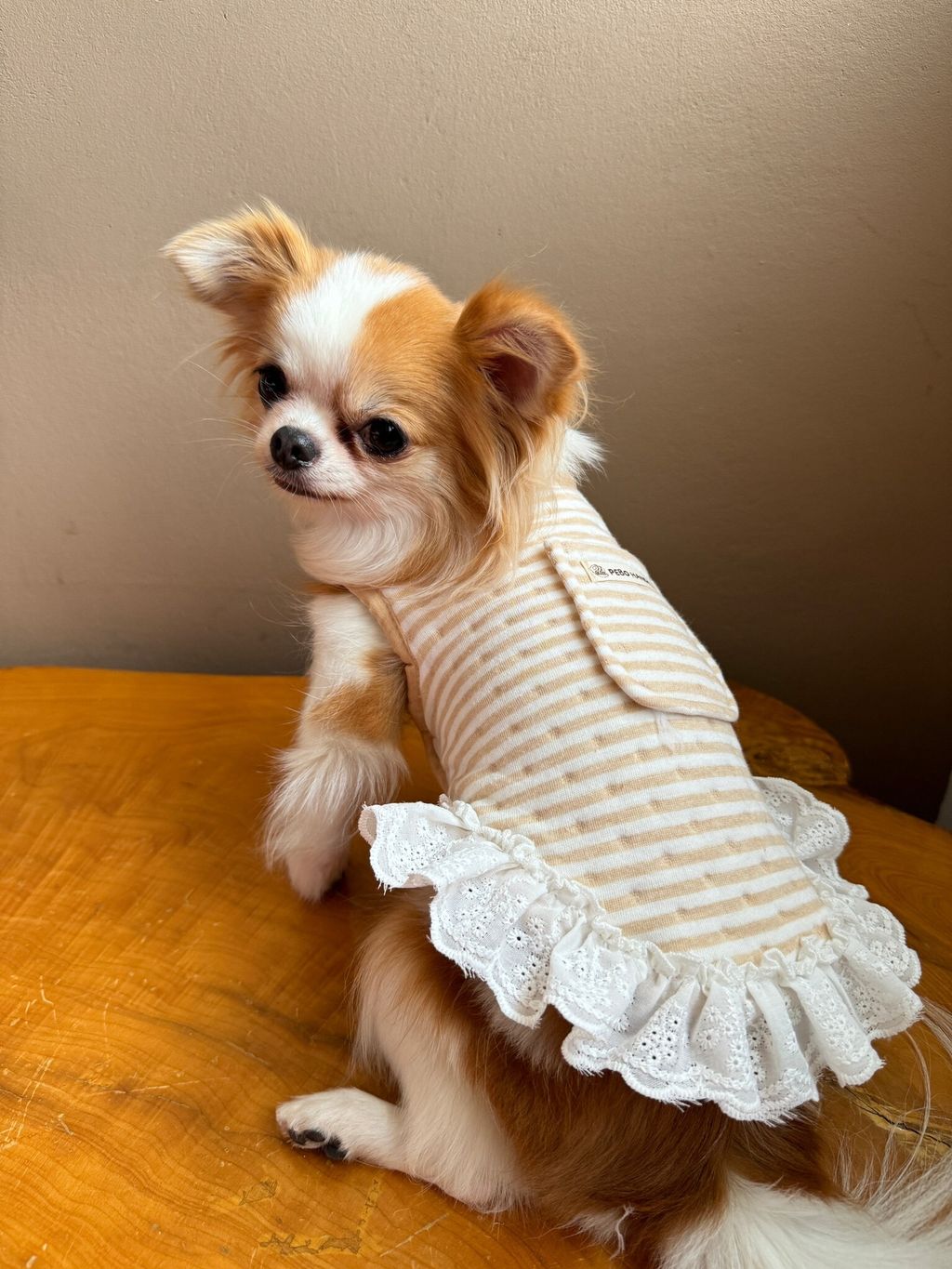 868C3318-F2B8-4781-AD87-B7A92271D457