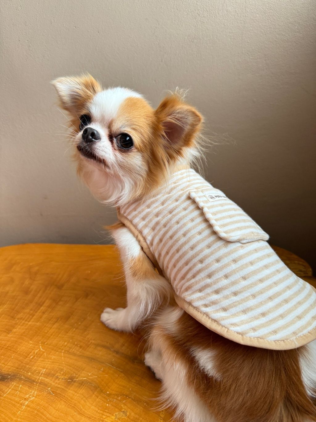 F6B0CE02-9643-4AF7-B1DD-3B851CC0985F