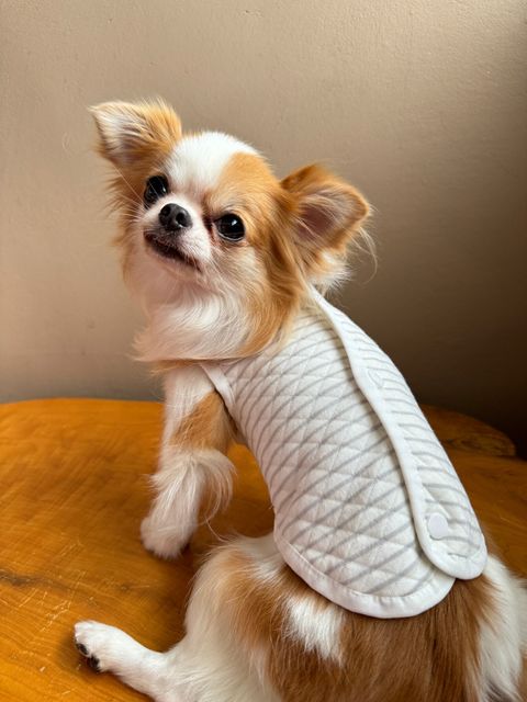 0964C4EA-95EF-4A41-89F9-BE03EB35B36F