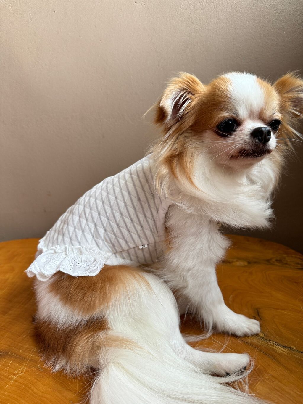 ABC3A376-D903-4218-9AA5-2C74C9945ED0