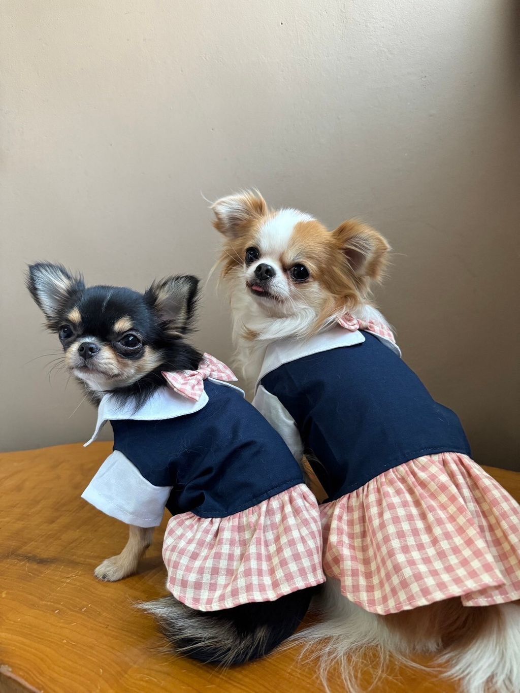 LINE_ALBUM_實穿照_241130_13