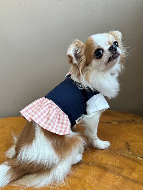 LINE_ALBUM_實穿照_241130_11