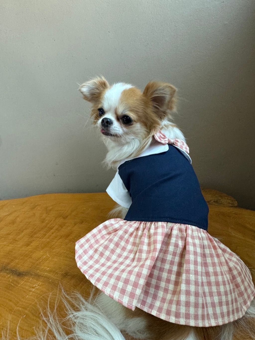 LINE_ALBUM_實穿照_241130_12