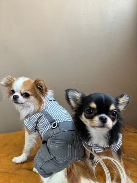 LINE_ALBUM_實穿照_241130_7