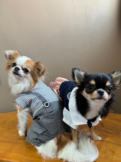 LINE_ALBUM_實穿照_241130_5