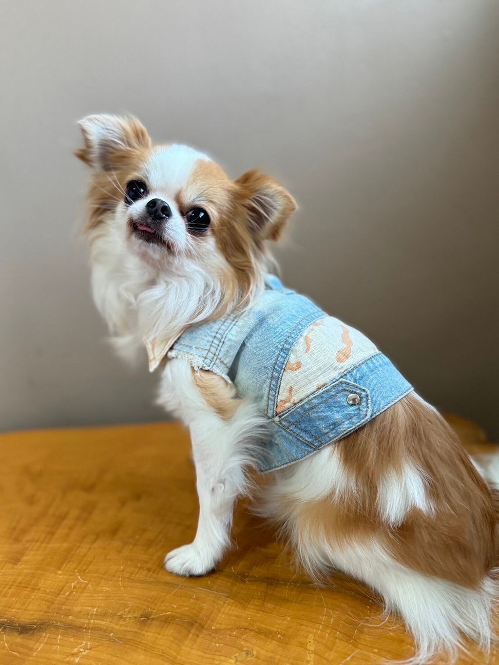 LINE_ALBUM_實穿照_241130_10