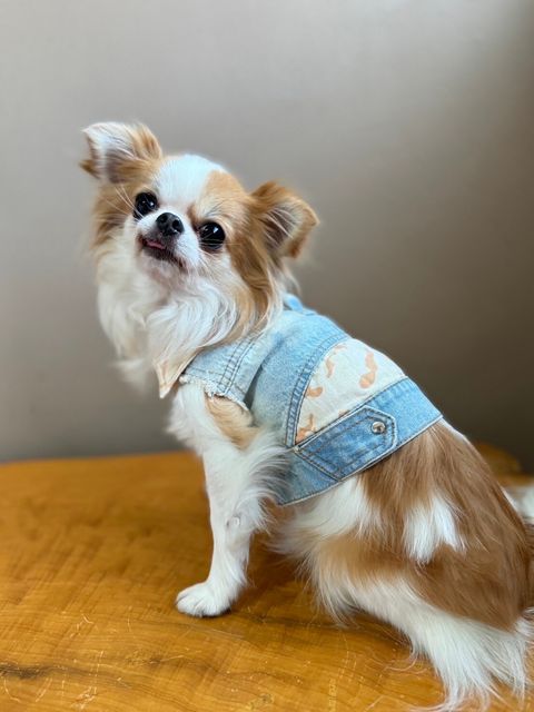 LINE_ALBUM_實穿照_241130_10