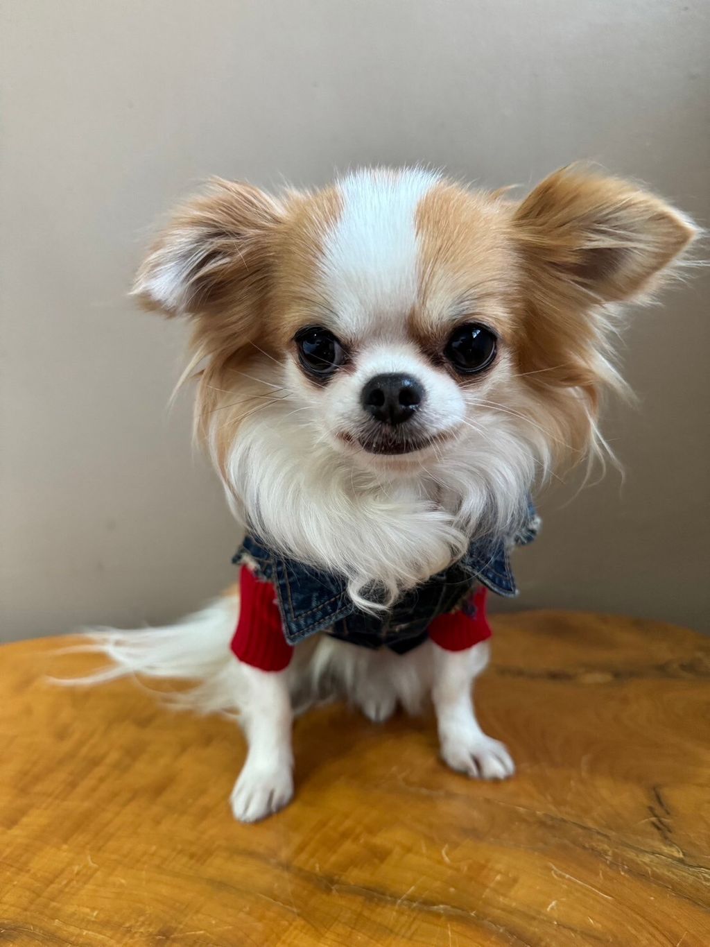 LINE_ALBUM_實穿照_241130_3