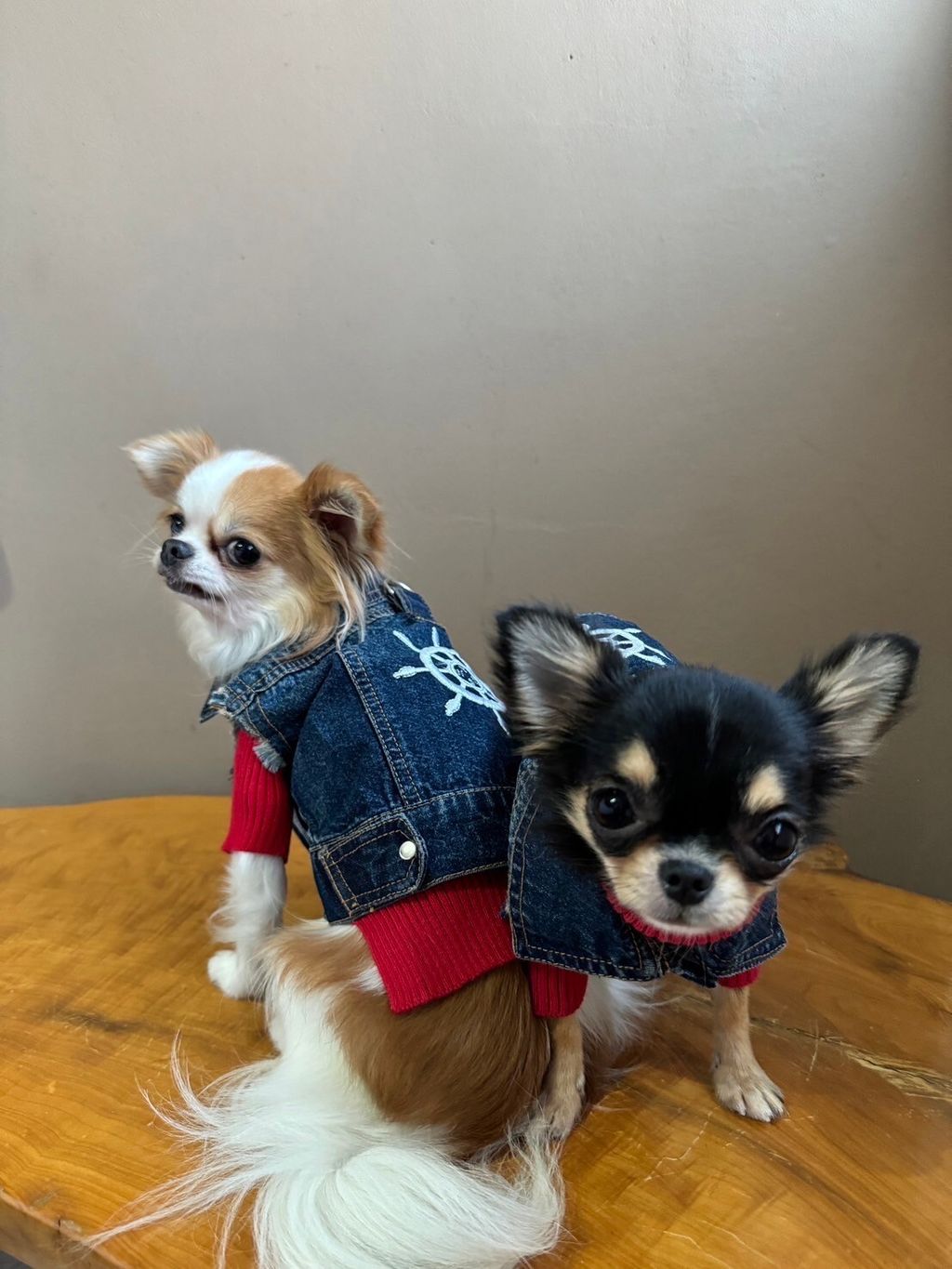 LINE_ALBUM_實穿照_241130_1