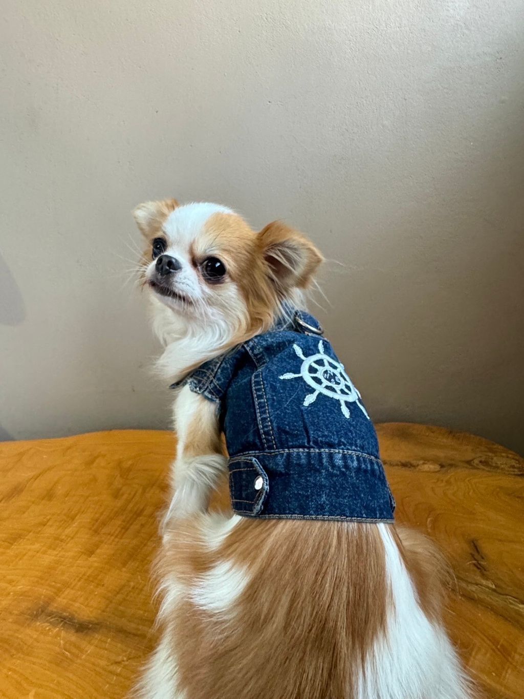 LINE_ALBUM_實穿照_241130_15