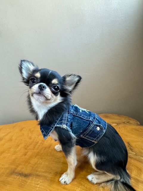 LINE_ALBUM_實穿照_241130_14