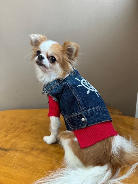 LINE_ALBUM_實穿照_241130_2