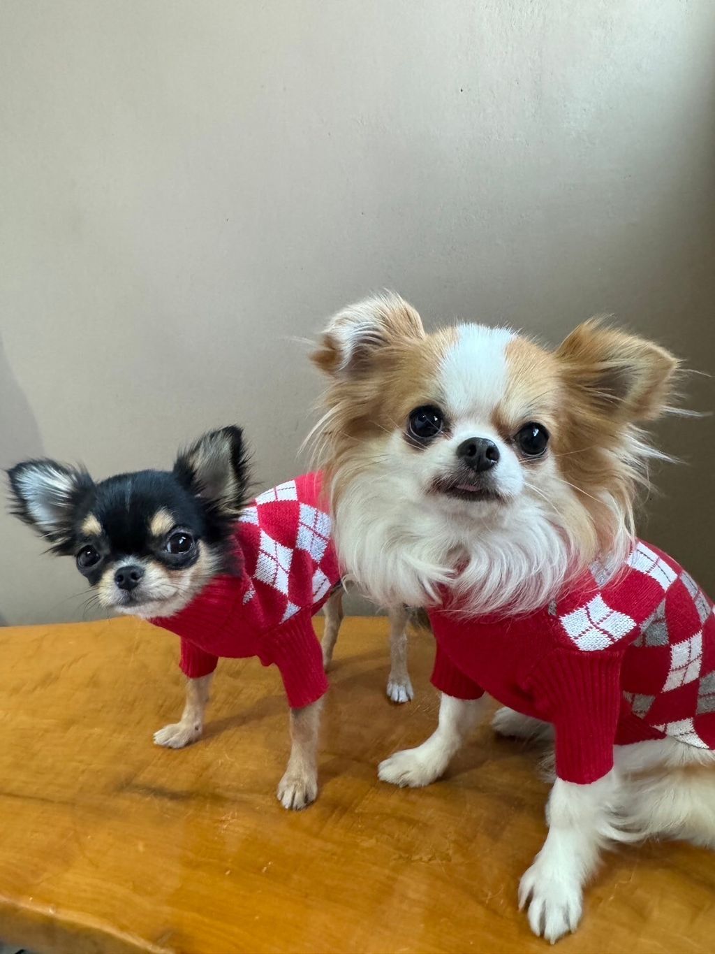 LINE_ALBUM_實穿照_241130_4