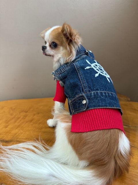 LINE_ALBUM_實穿照_241130_6