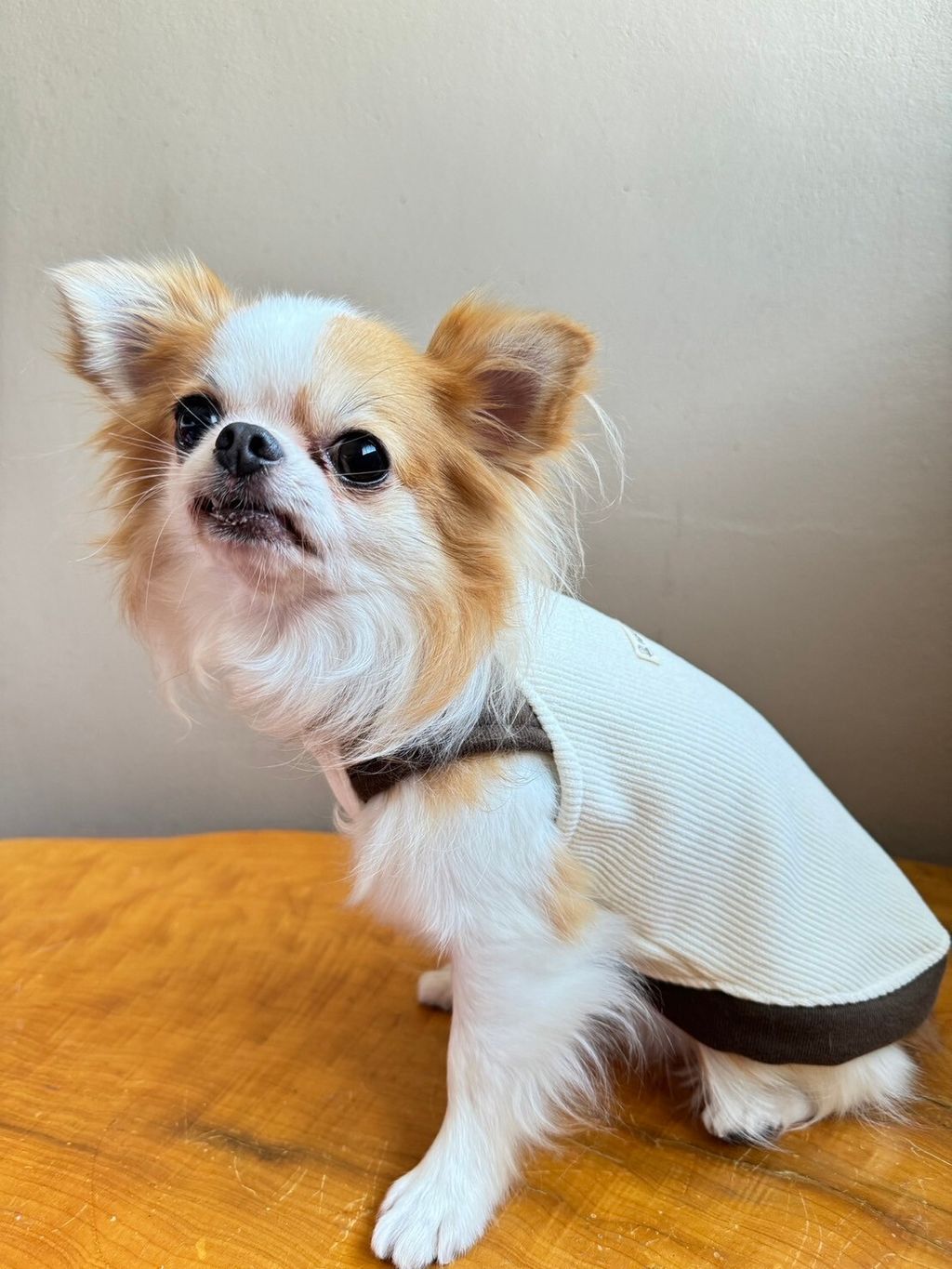 LINE_ALBUM_實穿照_241201_1