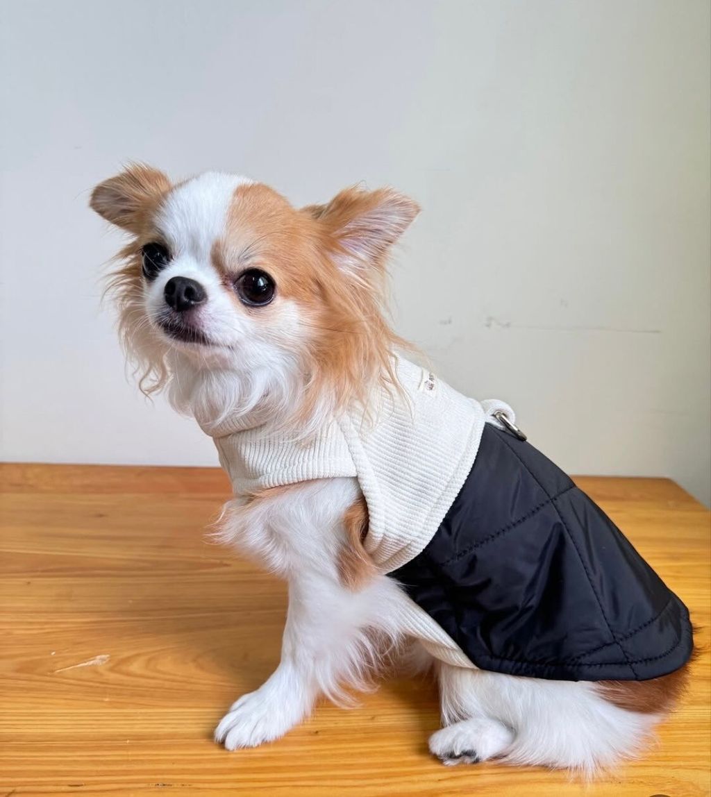 LINE_ALBUM_實穿照_241201_18