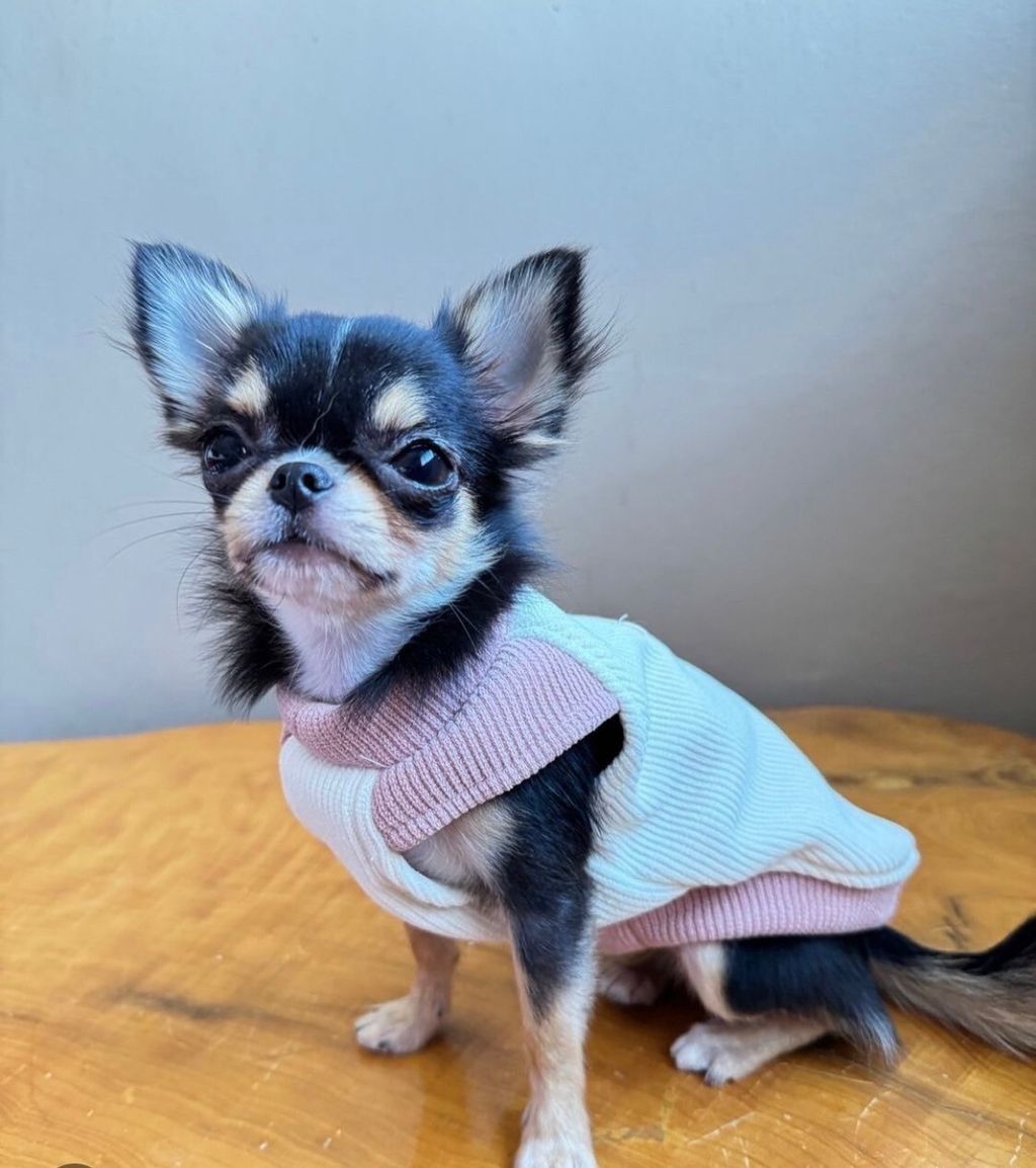 LINE_ALBUM_實穿照_241201_11