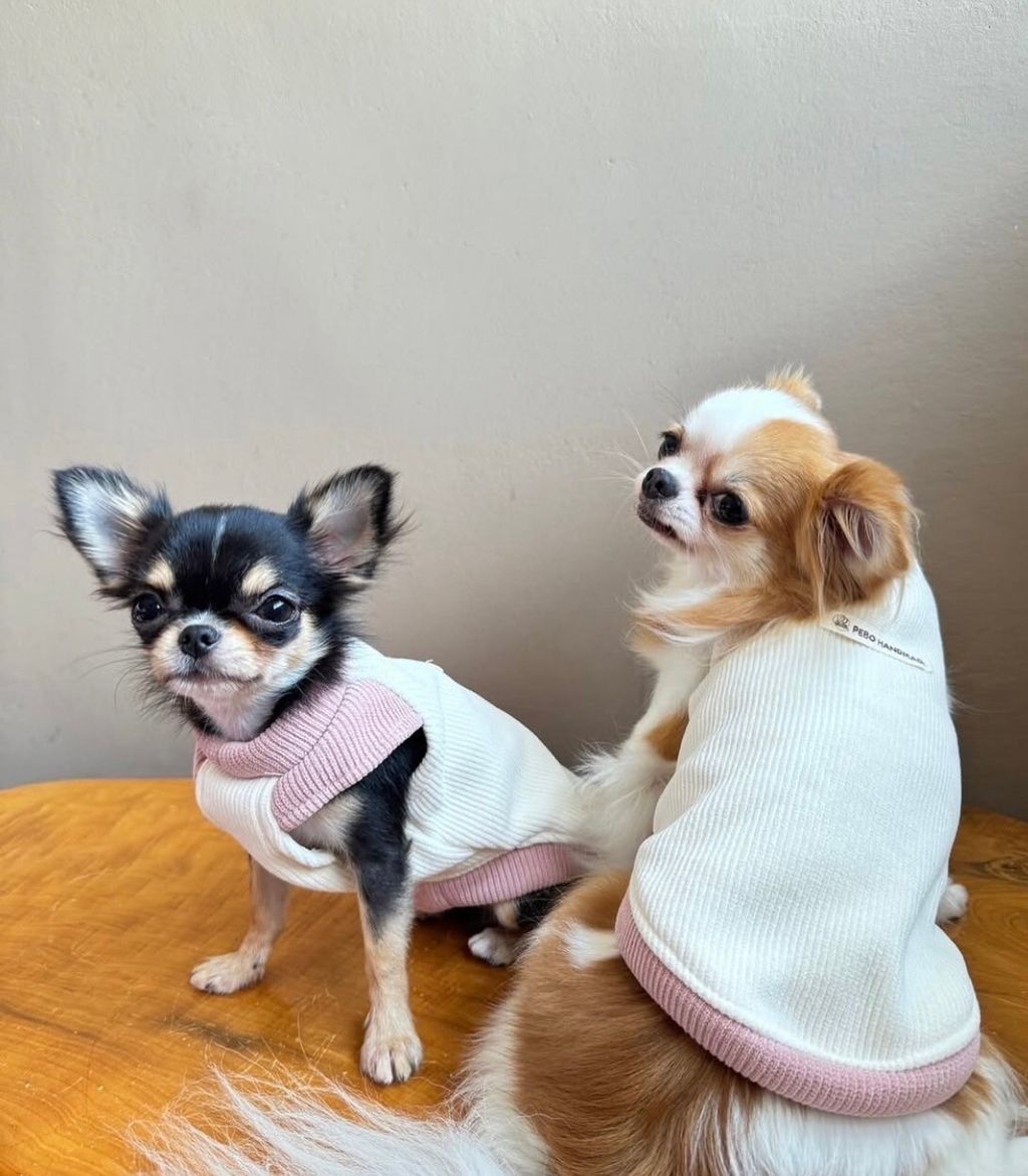 LINE_ALBUM_實穿照_241201_13