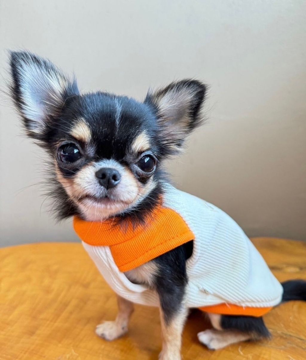 LINE_ALBUM_實穿照_241201_14