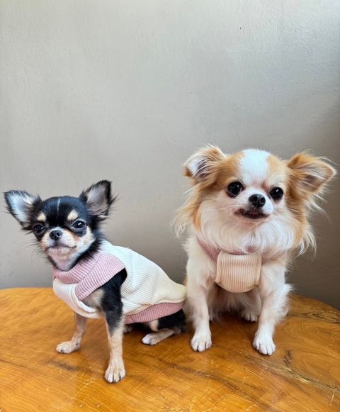 LINE_ALBUM_實穿照_241201_12