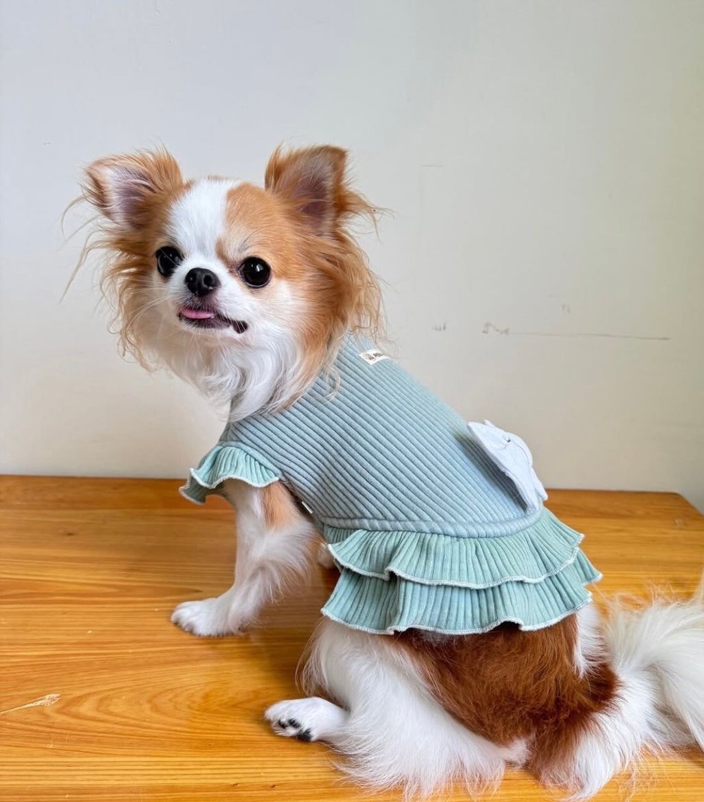 LINE_ALBUM_實穿照_241201_16