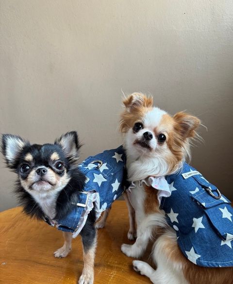 LINE_ALBUM_實穿照_241201_10